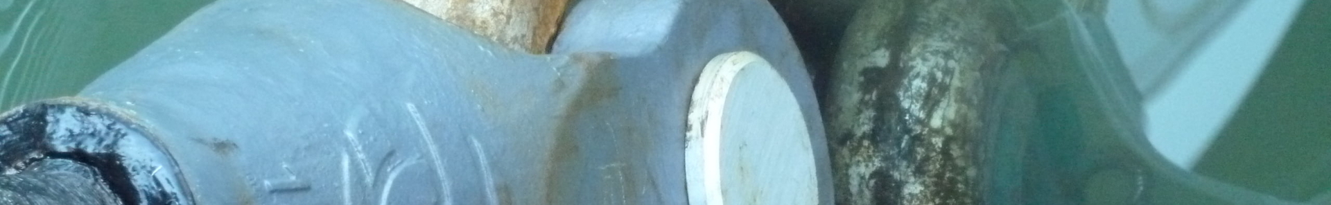 Header image C